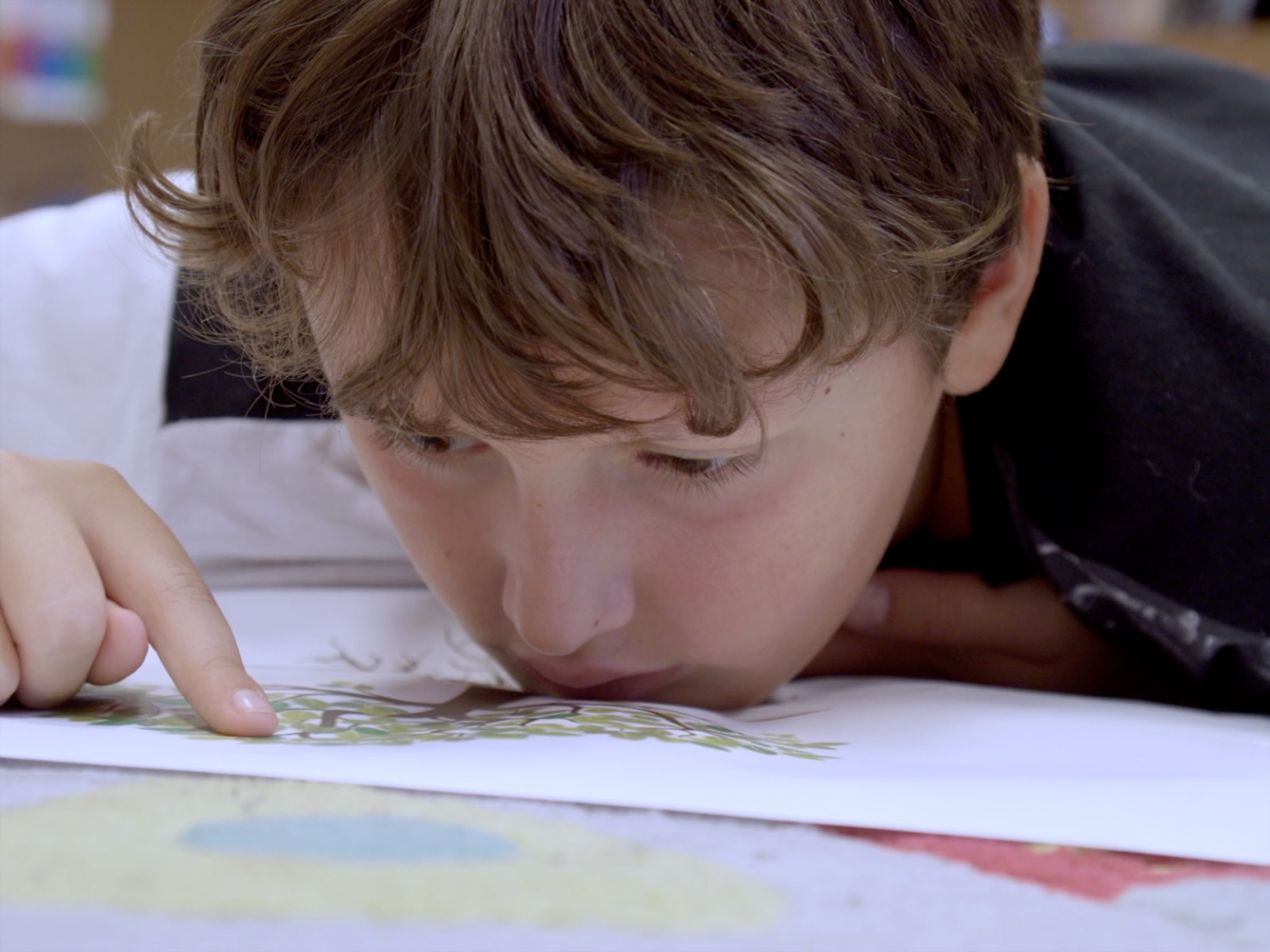 Mit Ästen bis zum Himmel